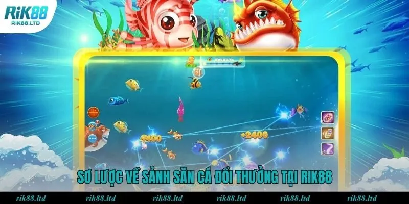 Sơ lược về sảnh săn cá đổi thưởng tại Rik88