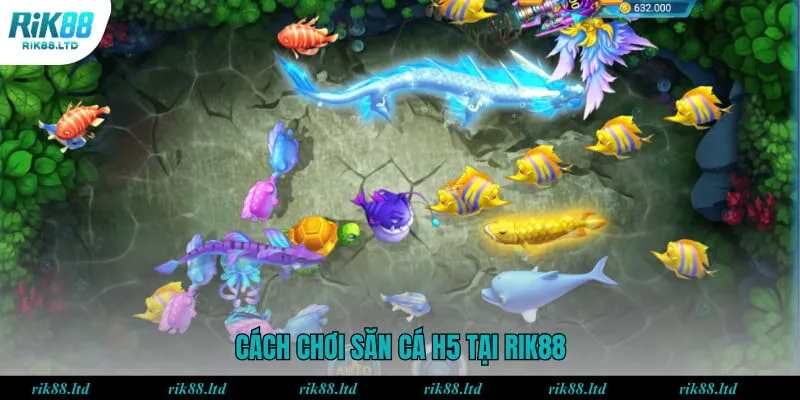 Cách chơi săn cá H5 tại RIK88