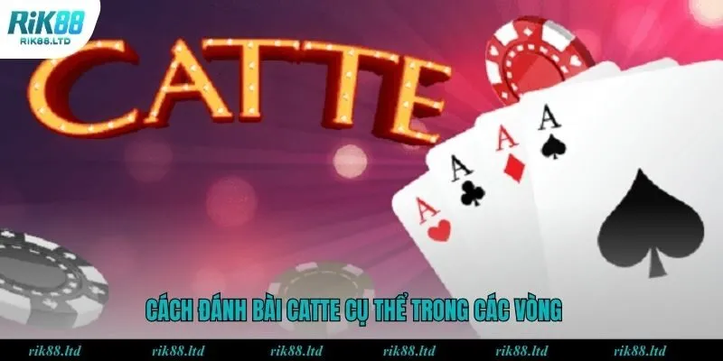 Cách đánh bài catte cụ thể trong các vòng