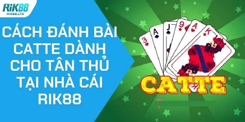 Cách Đánh Bài Catte Dành Cho Tân Thủ Tại Nhà Cái Rik88
