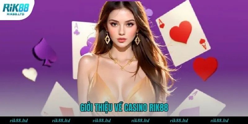 Một số đặc điểm chung của sảnh Casino Rik88
