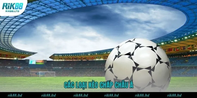 Tổng hợp các loại kèo chấp