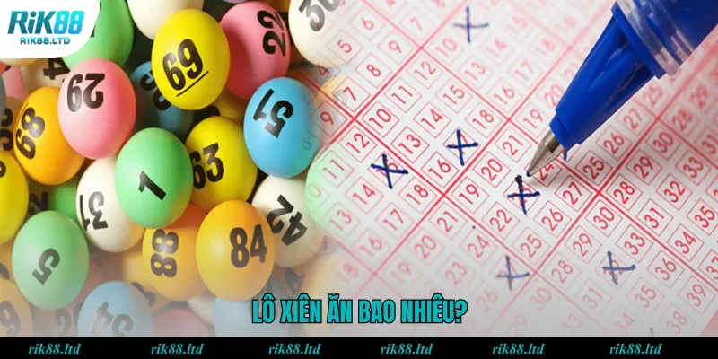 Lô xiên ăn bao nhiêu?