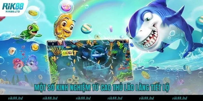 Một số kinh nghiệm từ cao thủ lão làng tiết lộ